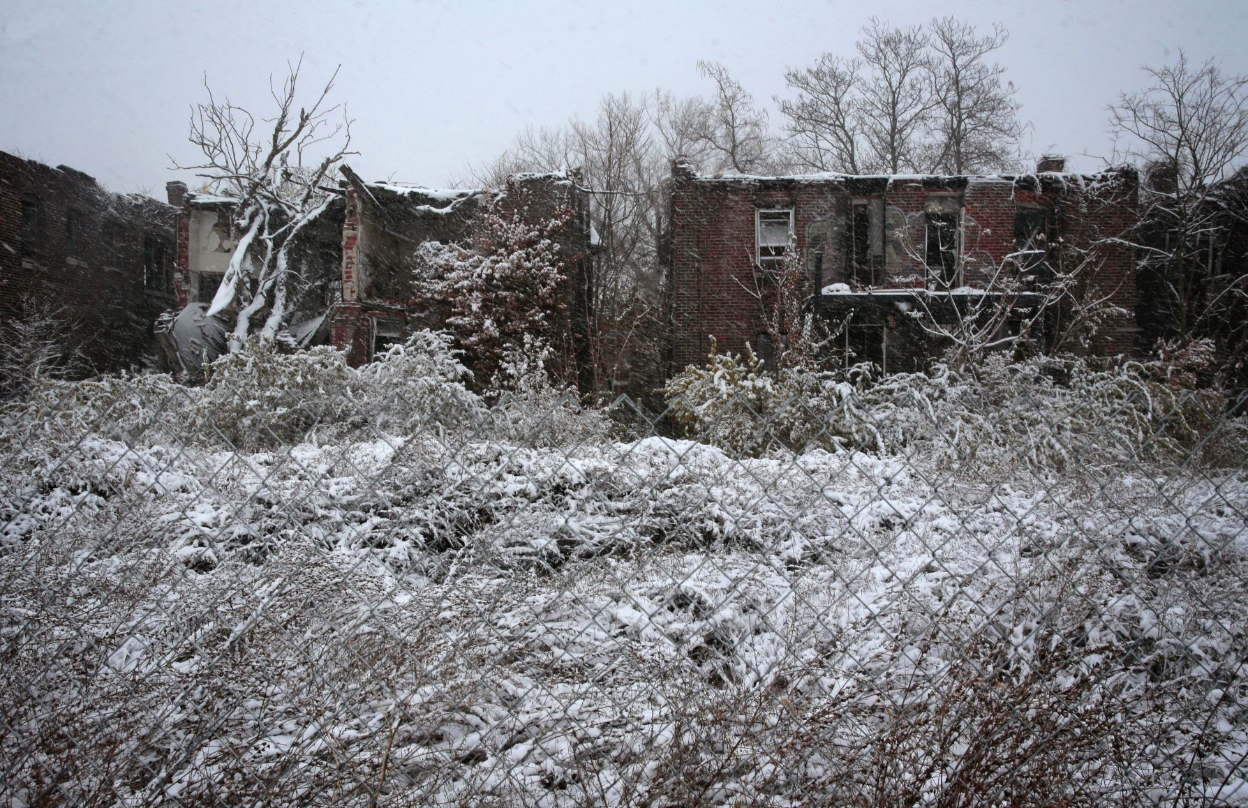 First snow of the season in St. Louis